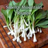 Smoky Mountain Ramp Pesto Recipe