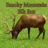 Smoky Mountain Elk Rut