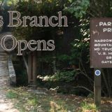 Smoky Mountain Parsons Branch Road Opens