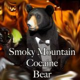 Smoky Mountain Cocaine Bear